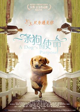 夜夜操电影